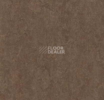 Линолеум Forbo Marmoleum Marbled Fresco 3874-387435 walnut фото 1 | FLOORDEALER